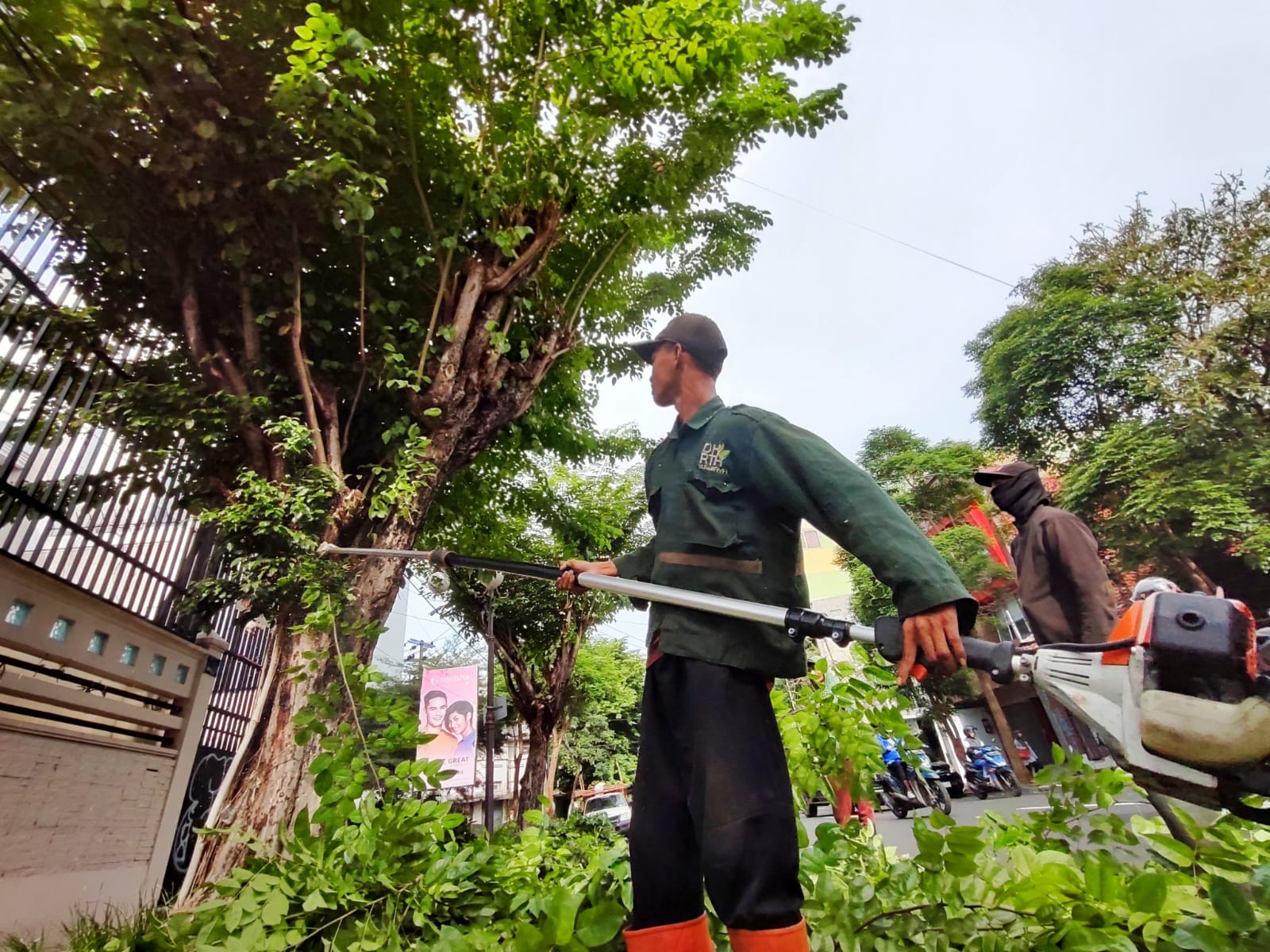 Antisipasi Cuaca Ekstrem, DLH Surabaya Gencar Perantingan di Jalan Protokol