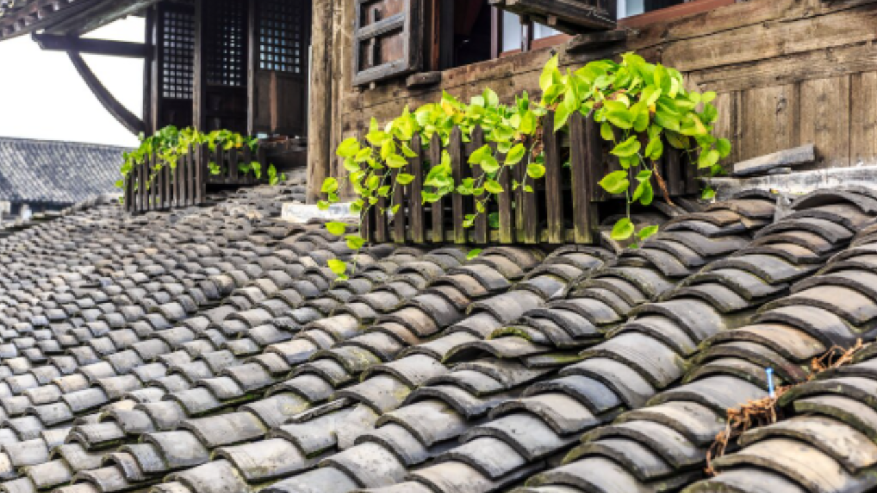 Intip Kelebihan dan Kekurangan Atap Genteng vs Seng, Mana yang Lebih Unggul?