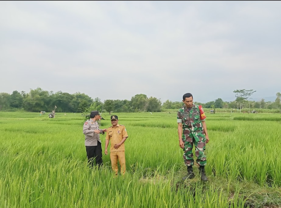 Anugerah Patriot Jawi Wetan II : Tiga Desa Terbaik Dari Kabupaten Pasuruan