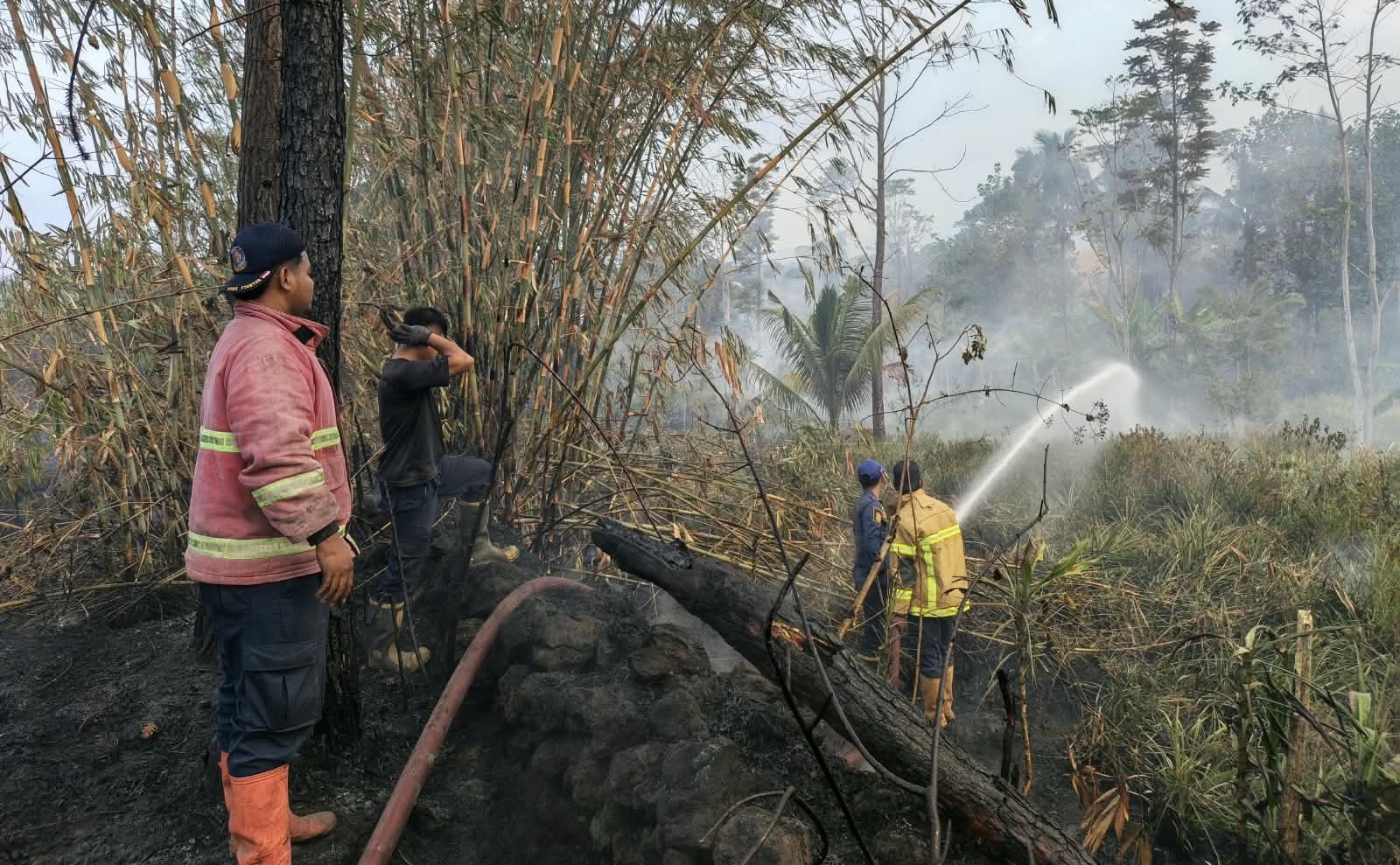 Karhutla Terjadi di Jateng, 8,7 Hektare Lahan Ludes Dilalap Api