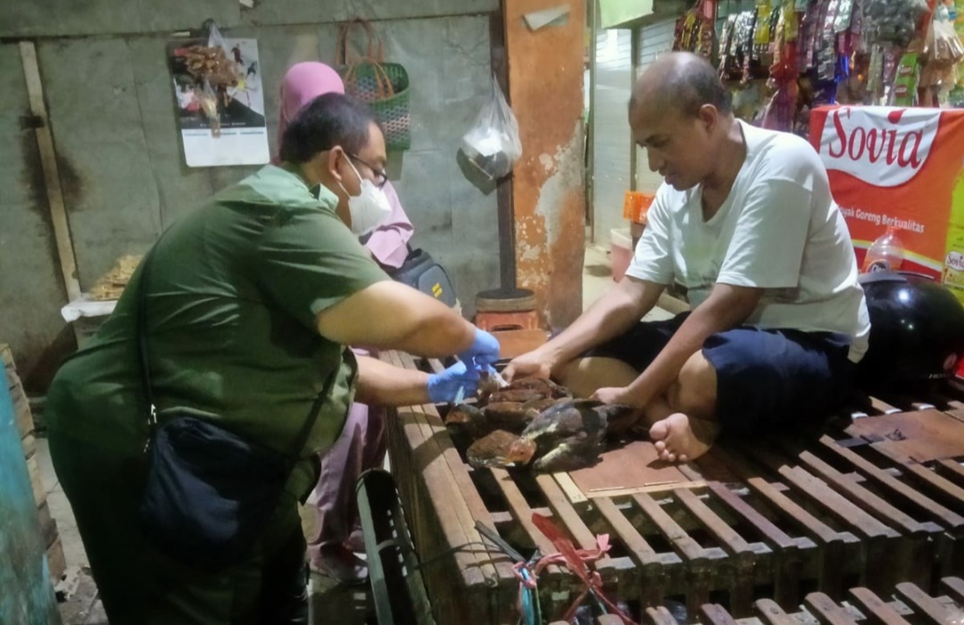 Tiba-Tiba Muncul Gerakan Antisipasi Flu Burung di Surabaya, Jangan Panik!