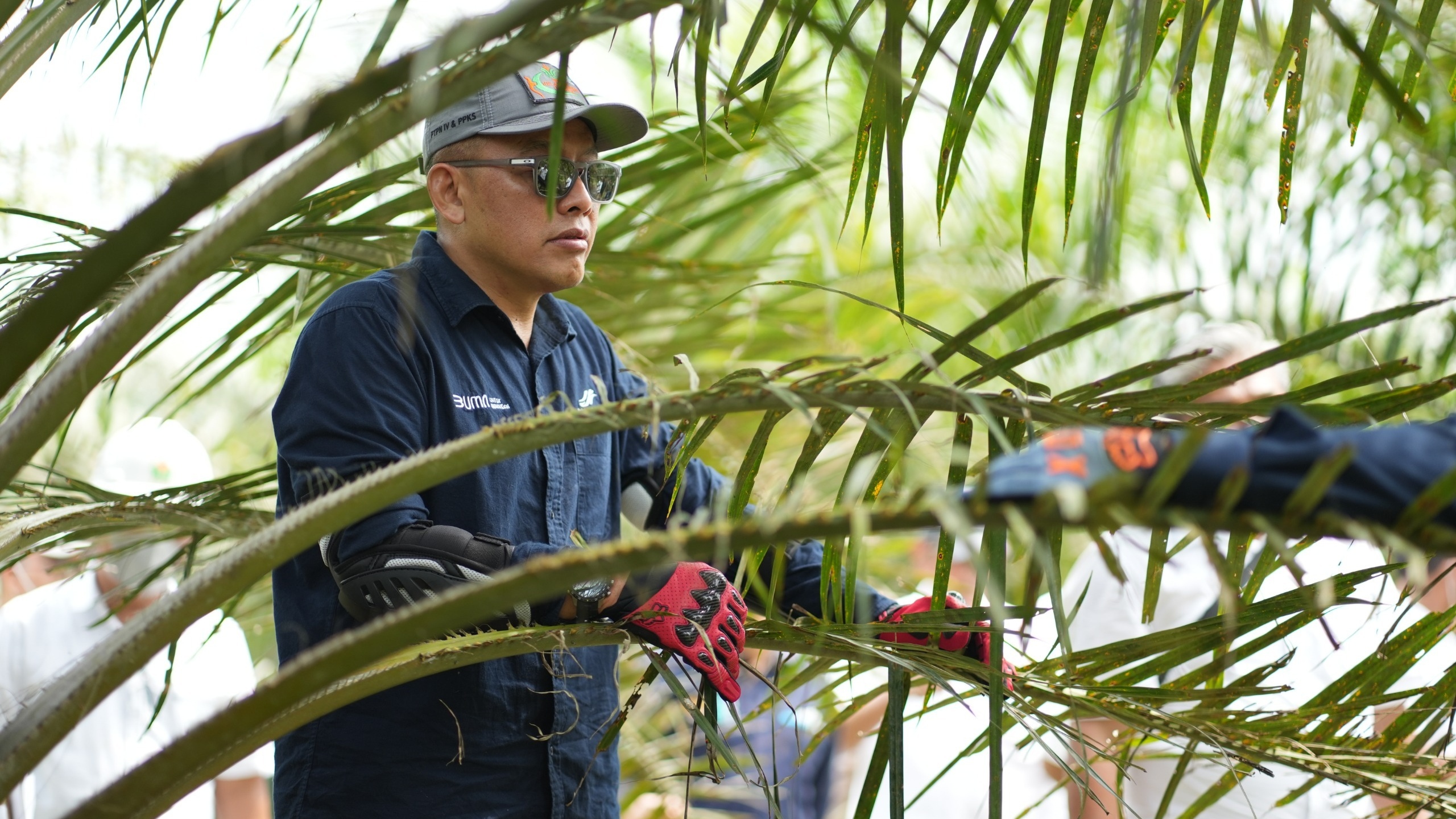 Siaga Hadapi Kemarau, PTPN IV PalmCo Perkuat Deteksi Dini Karhutla hingga Strategi Agronomi
