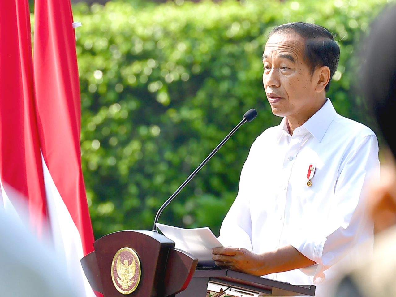 Tanggapan Singkat Jokowi Terhadap Polemik RUU Pilkada: Kita Hormati Wewenang Lembaga Negara 