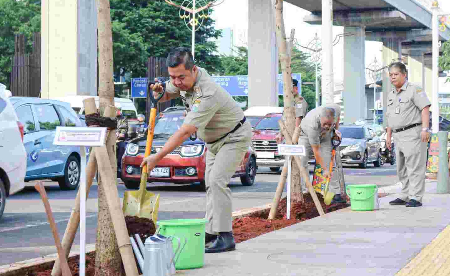 Teguh Setyabudi Tanam 136 Pohon Tabebuya di Jakarta Selatan