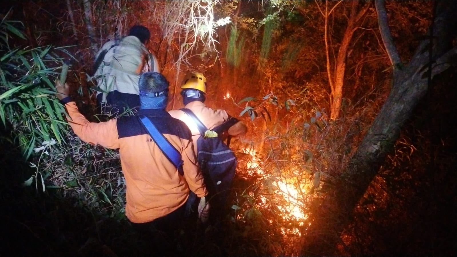 Karhutla di Gunung Ciremai: Angin Menyulitkan Proses Pemadaman