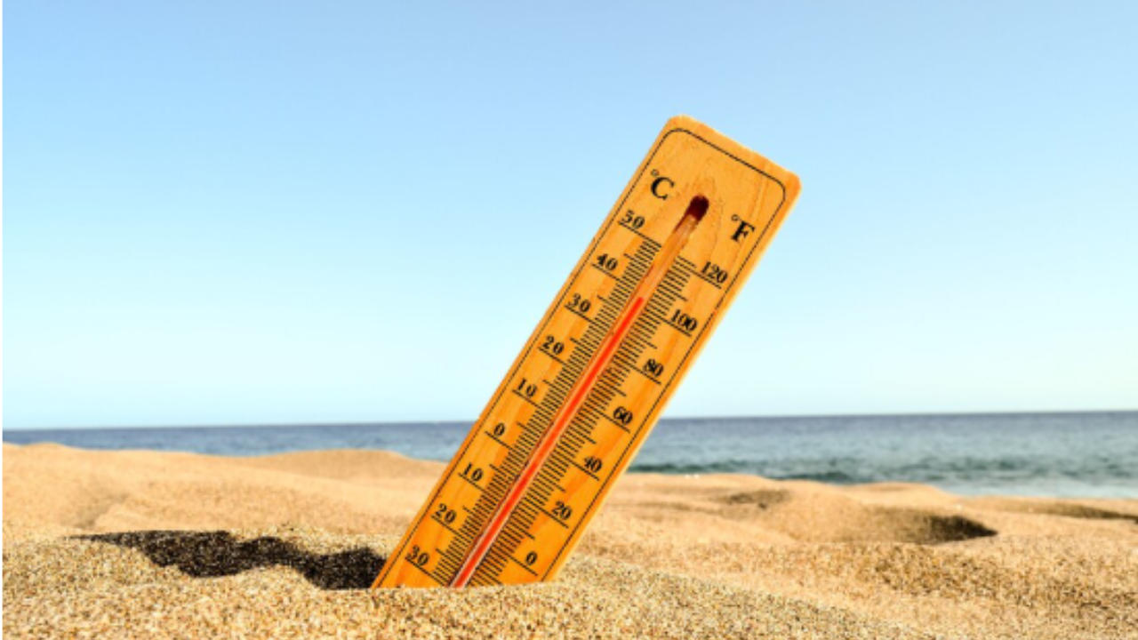 Jangan Keliru! Ini Perbedaan Heat Wave dan Heat Index yang Perlu Diketahui