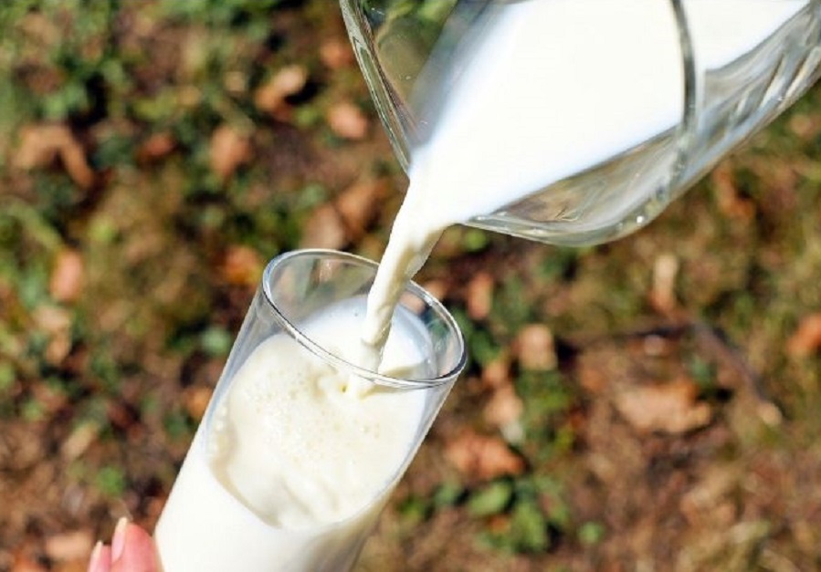 Penelitian Sebut Minum Susu Bantu Tubuh Tetap Terhidrasi, Begini Penjelasannya