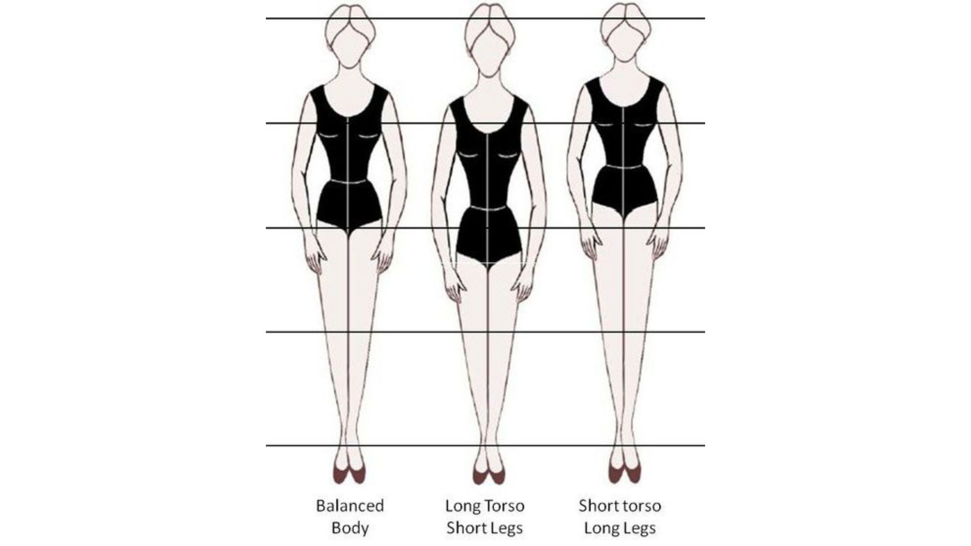 Mengenal Long Torso, Ideal, dan Short Torso