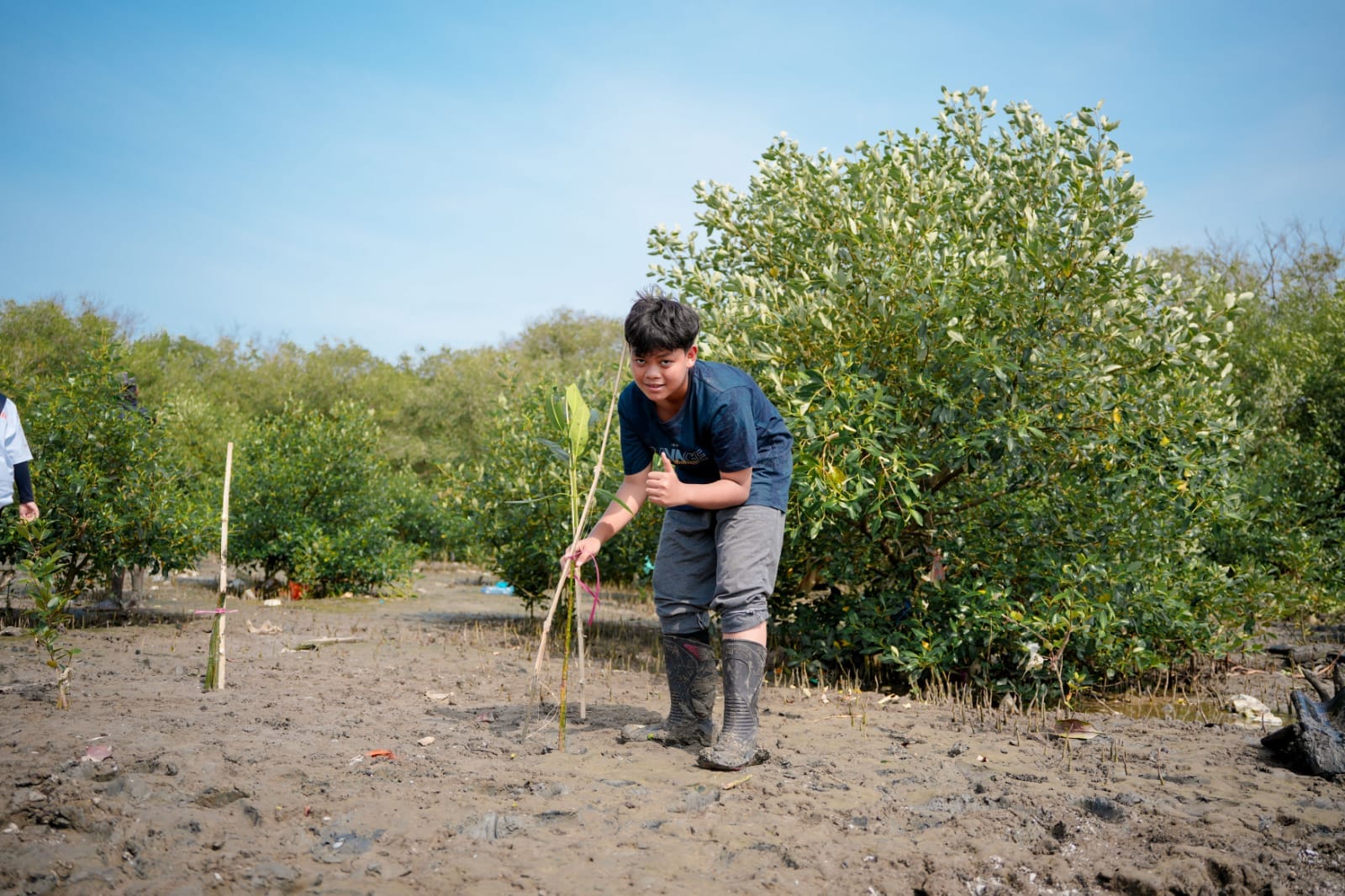 Harley Fatahillah, Bocah 13 Tahun Pejuang Mangrove Surabaya 