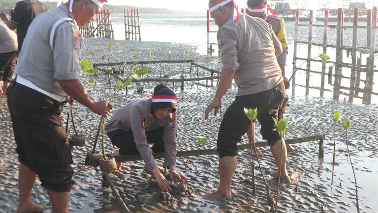 Cegah Abrasi, Tanam Bibit Pohon Mangrove di Lembung Pamekasan 