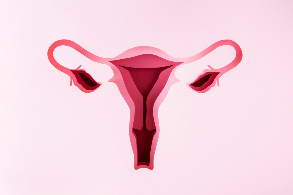 4 Makanan Penyebab Kista Ovarium yang Jarang Diketahui, Perempuan Harus Hati-hati
