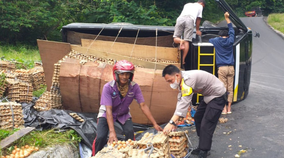 Truk Terguling, Ratusan Telur Berserakan Pecah 