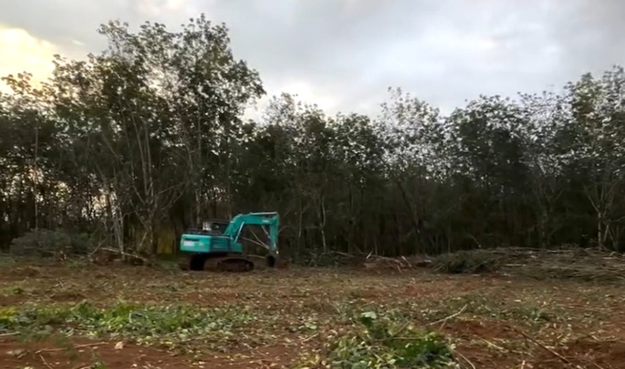 PTPN Siapkan Lahan Huntara di Sumut dan Aceh, Relokasi Warga Banjir Dipacu