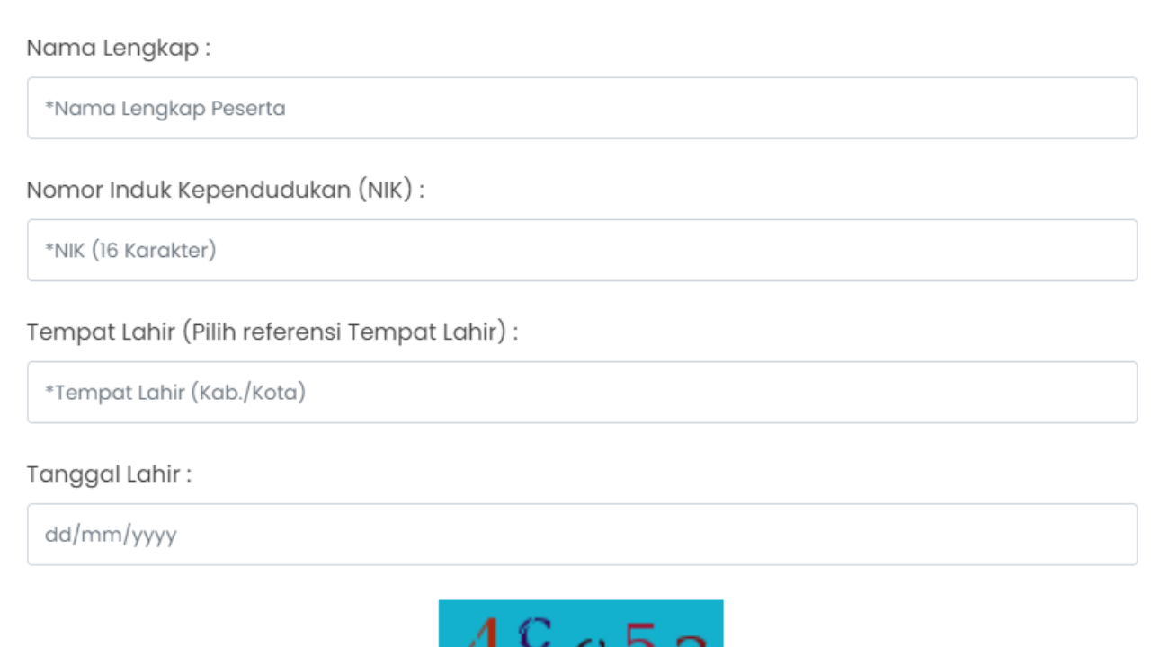 Pendaftaran PPPK 2024: Cara Cek Data Non ASN di BKN, Cek di Sini!