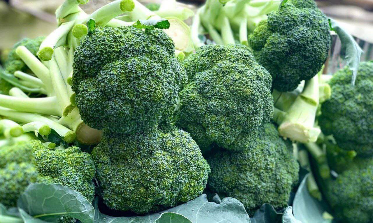 Manfaat Brokoli:  Lindungi Usus, Cegah Diabet dan Kanker