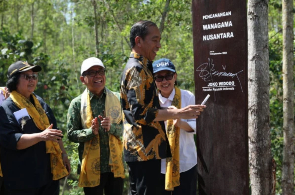 Jokowi Sediakan 621 Hektar Hutan di IKN Jadi Pusat Pendidikan dan Riset