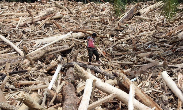 Kemenhut Usut 12 Korporasi hingga Perorangan Pemicu Banjir Sumatera, Diduga Ada 'Operasi Gelap' di Hulu DAS