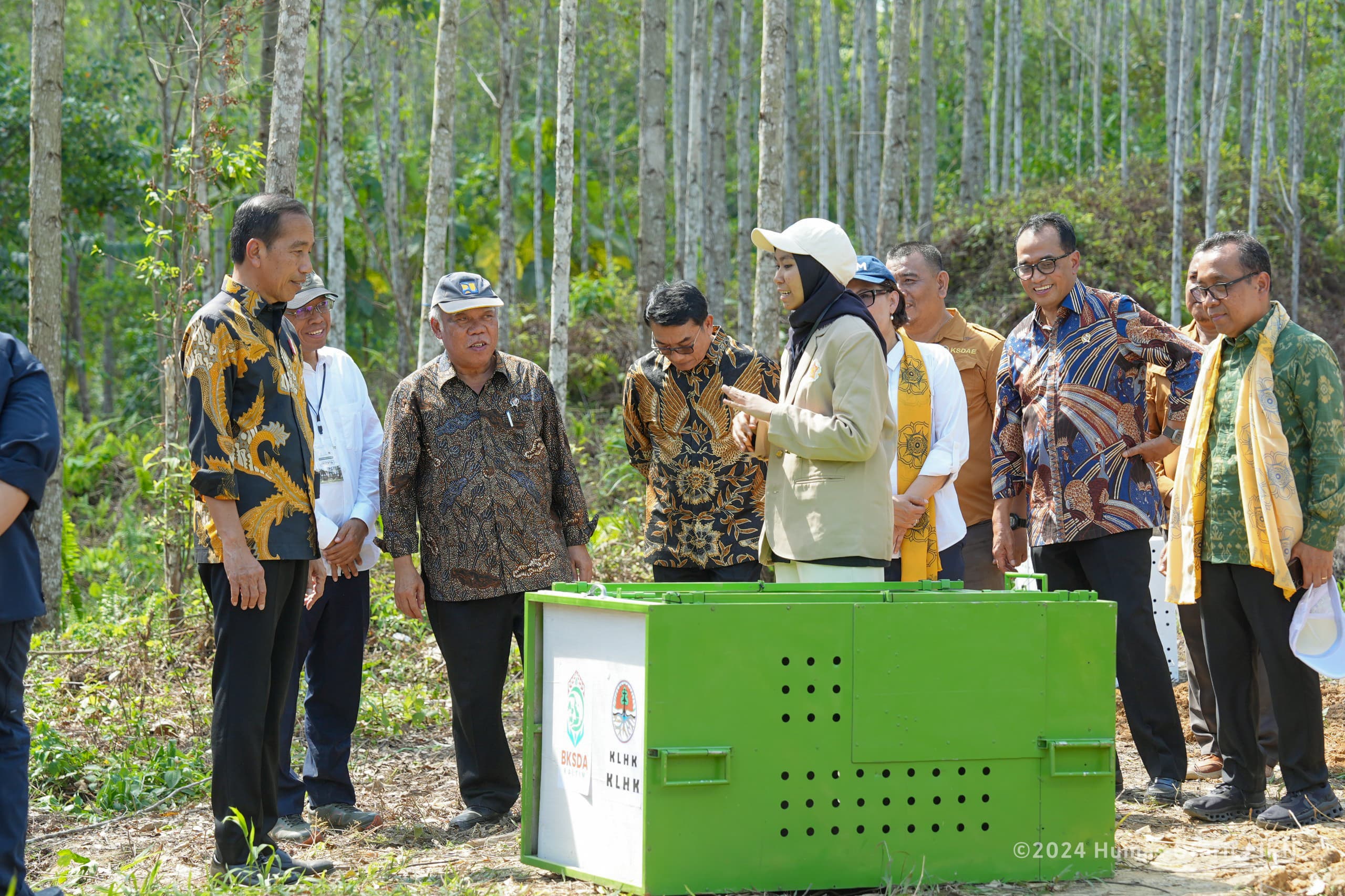 Otorita IKN Gandeng UGM dan KLHK Rancang Penghijauan Nusantara, Jadi Pusat Pendidikan dan Penelitian Hutan Tropis Dunia 