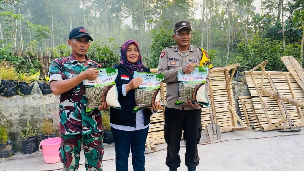 Anugerah Patriot Jawi Wetan II 2024: Perkuat Ketahanan Pangan, 3 Pilar Desa Sumbermujur Kompak Pantau Lahan Pertanian