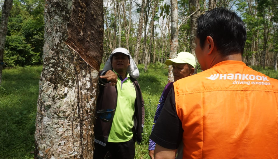 Tantangan Industri Karet Nasional, 200 Petani Jadi Kunci Perubahan
