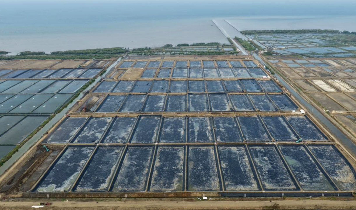 Satu Tahun Prabowo, Ini Progres Program Strategis Nasional di Sektor Perikanan Budi Daya