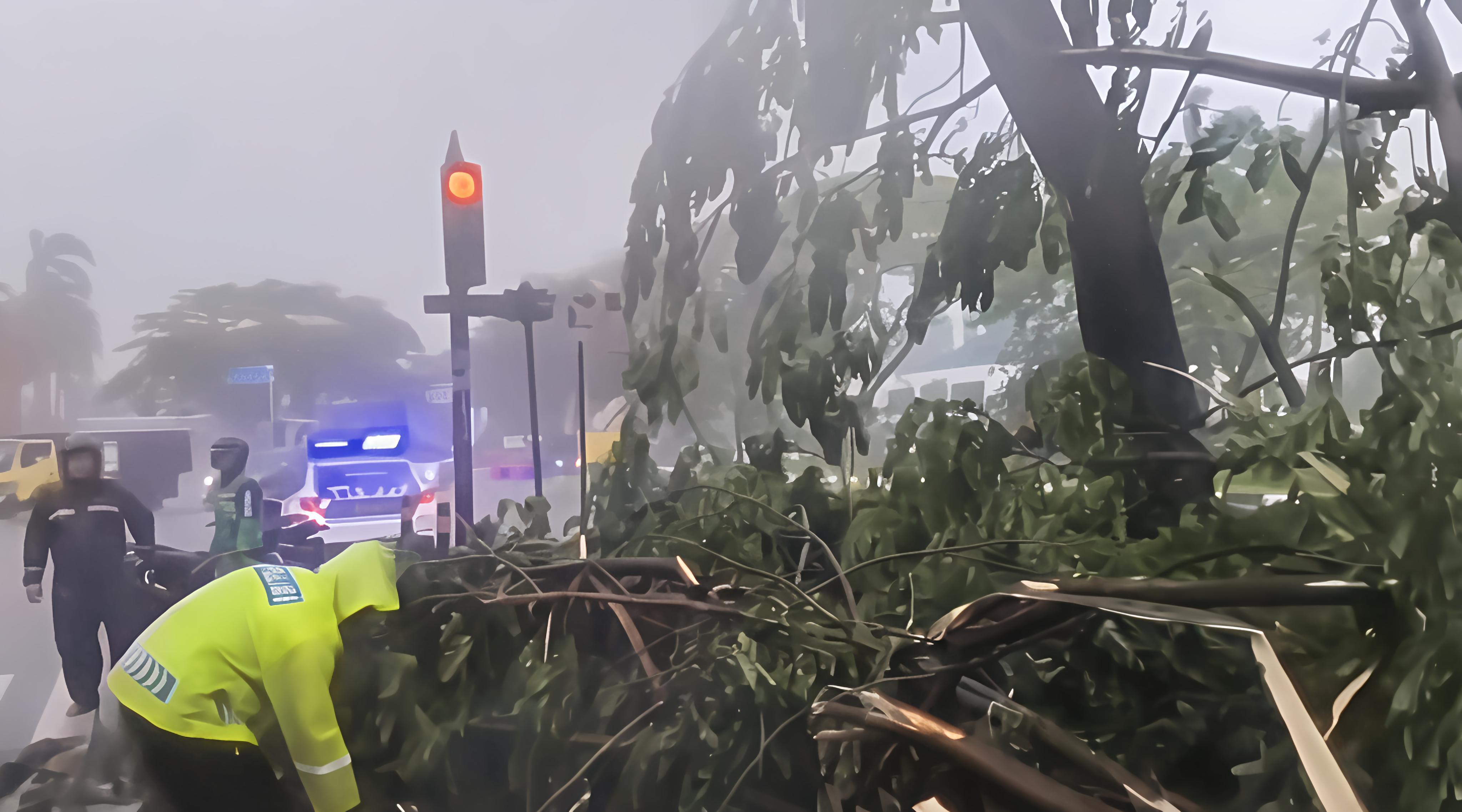 Ancaman Cuaca Ekstrem Sepekan ke Depan, 30 Wilayah Siaga Hujan dan Angin Kencang!