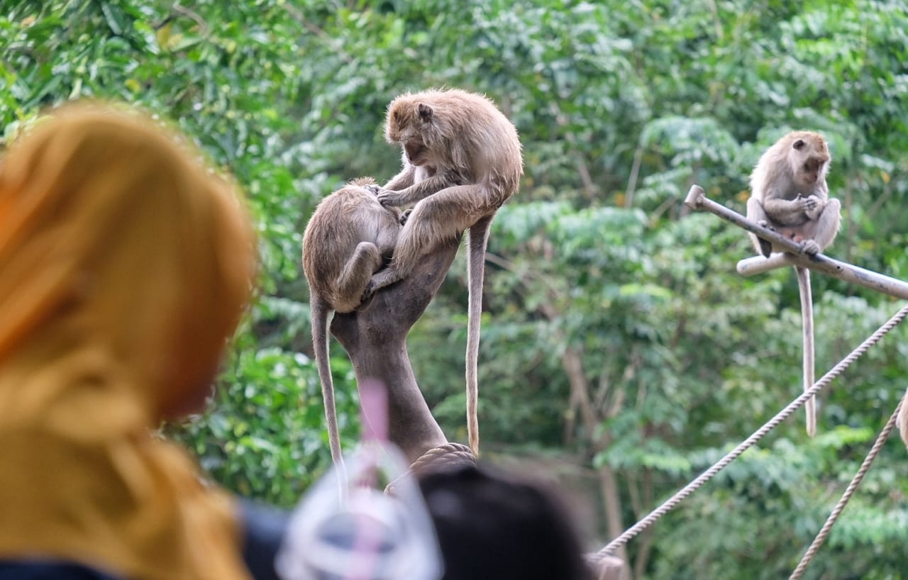 H+1 Idulfitri, Puluhan Ribu Pengunjung Padati KBS