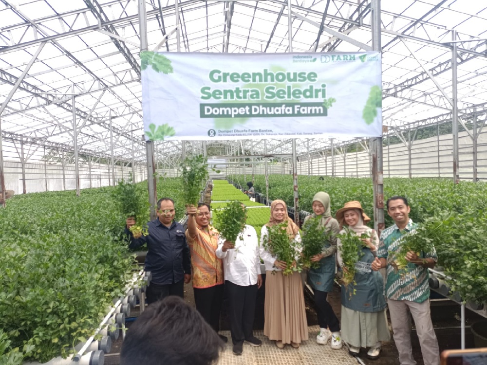 Dompet Dhuafa Banten Luncurkan Greenhouse Seledri Siap Suplai Hingga 8 Ton Seledri