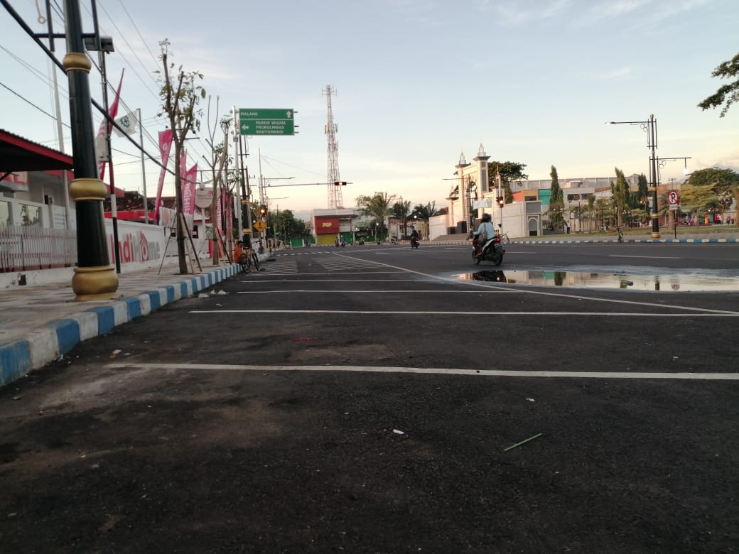 Pohon Tabebuya di Kota Pasuruan Bakal Berbunga Tiga Bulan Lagi