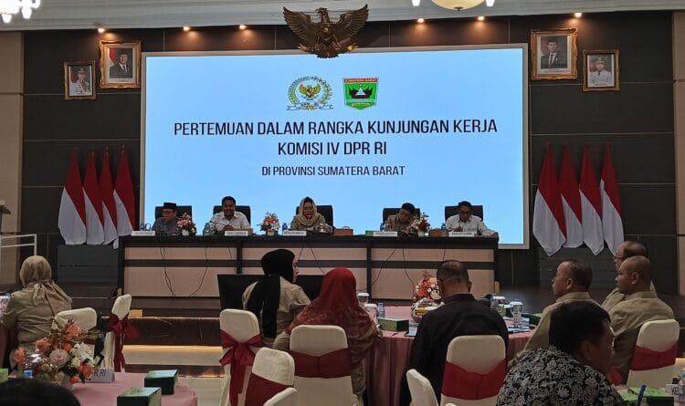 Alex Indra Lukman: Eksploitasi Hutan Sipora Ancam Ekosistem dan Masa Depan Mentawai