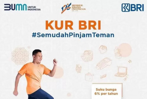 Cara Cairkan Pinjaman KUR BRI 2025 Mulai Rp1 Juta dengan Mudah, Modal UMKM Cicilan Super Ringan hingga 60 Bulan! 