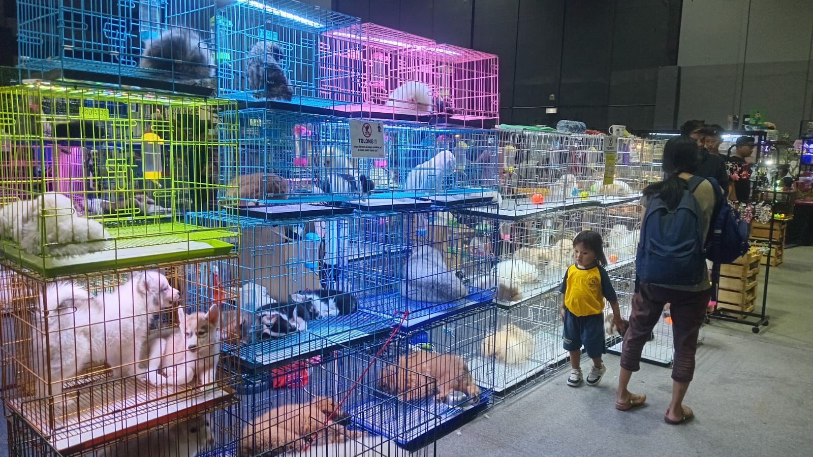 Indo Pet X 2025 Hadirkan Berbagai Anabul dan Reptil Unik di SCC