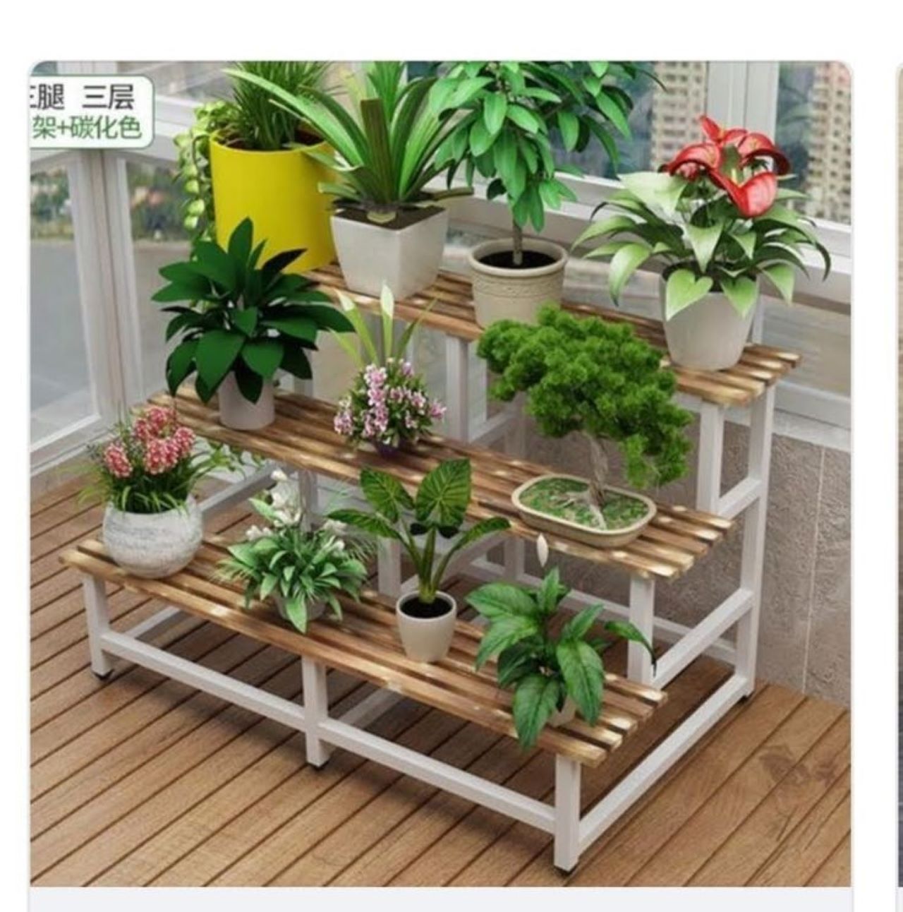 4 Tanaman Hias Penyerap Debu yang Cocok untuk Ruang Tamu