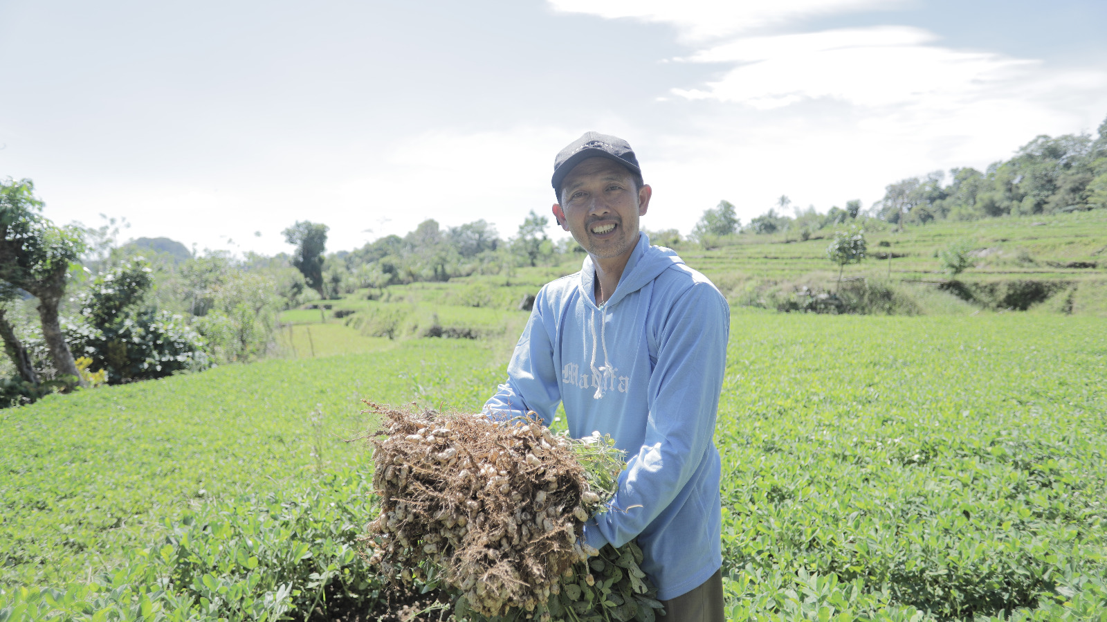 Desa Tompobulu, Berkembang Berkat Saraba Daun Kelor dan Dukungan Program Desa BRILiaN