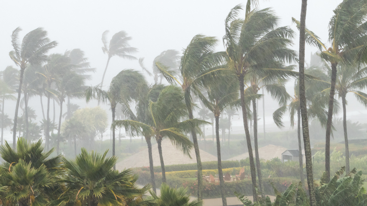 Apa Itu Topan Super Ragasa? Badai Terkuat di Dunia yang Ancam Hong Kong dan China