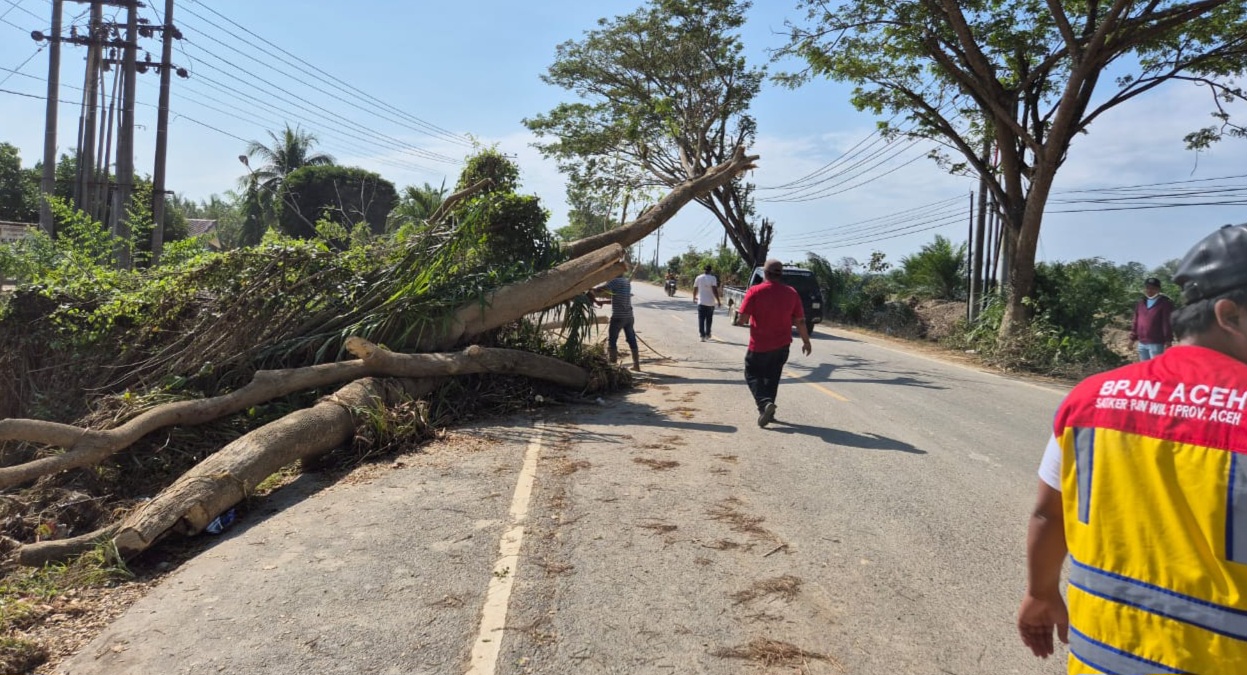 Ini Ruas Jalan Utama Sudah Bisa Dilalui Pascabanjir-Longsor di Aceh