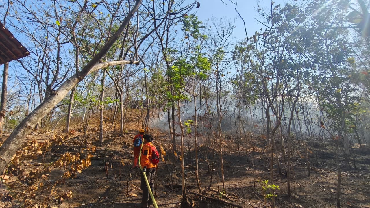 Selain di Bromo, Karhutla Juga Terjadi di Ponorogo dan Trenggalek