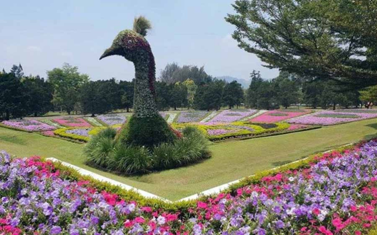 5 Rekomendasi Wisata di Puncak Bogor yang Mengajak Anak Dekat dengan Alam dan Satwa