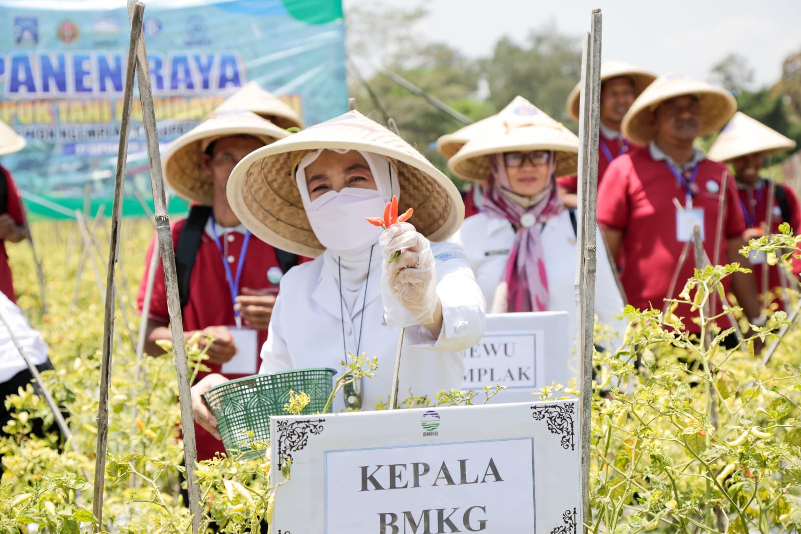 Jaga Ketahanan Pangan, BMKG Ajari Petani Untuk Adaptasi Perubahan Iklim