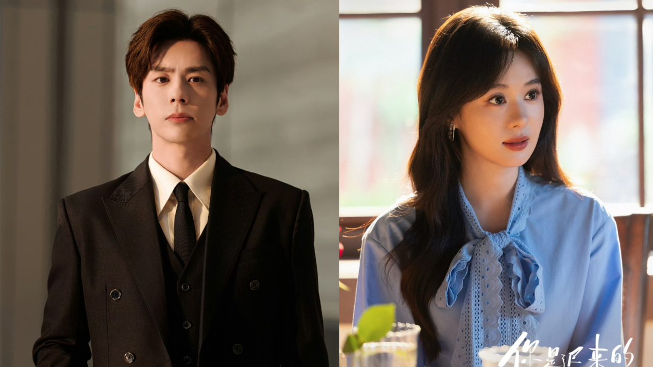 Sinopsis Drama China You Are My Fateful Love, Kisah Asmara Pengacara dan Penulis Novel