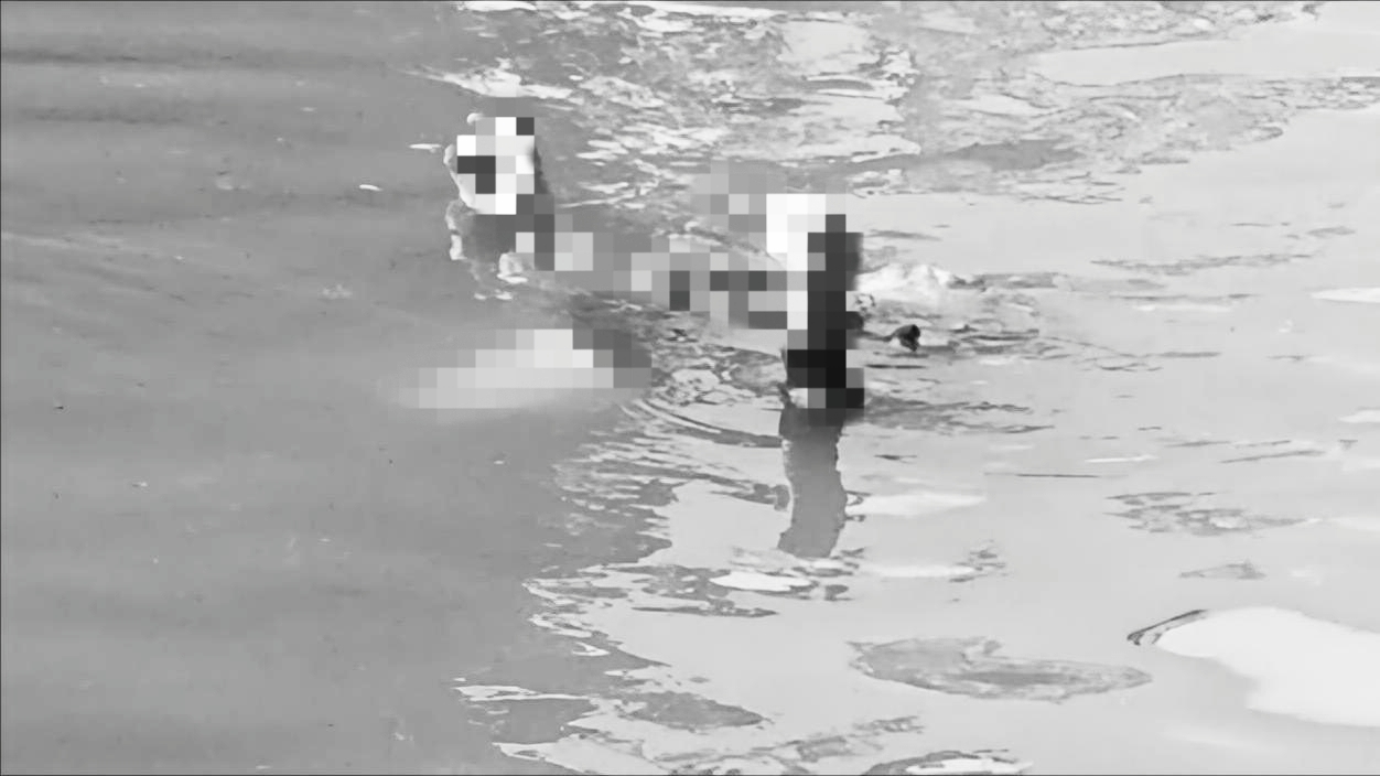 Geger! Jasad Pria 'Mr. X' Mengambang di Kali Ciliwung Tanjung Barat Jaksel, Polisi Selidiki