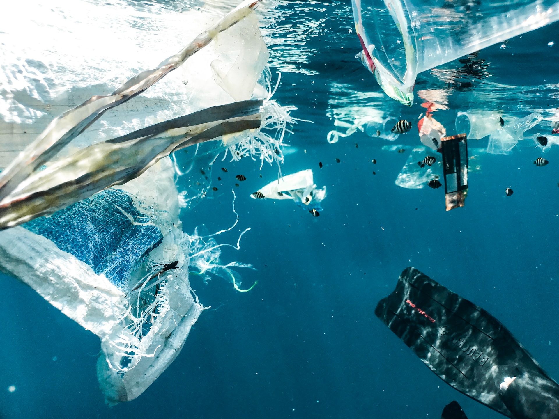 Laut Nusa Peninda Jadi Sorotan Media Asing, Bule Curhat Banyak Sampah Plastik di Spot Manta Rays: Sangat Menjijikan!