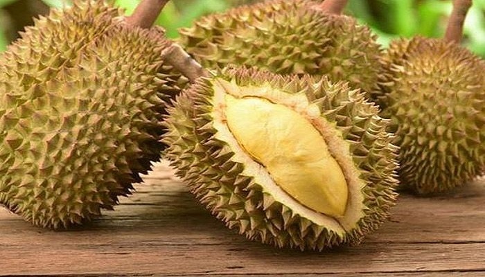 5 Manfaat Alami Konsumsi Buah Durian, Bisa Bantu Jaga Kadar Gula Darah?
