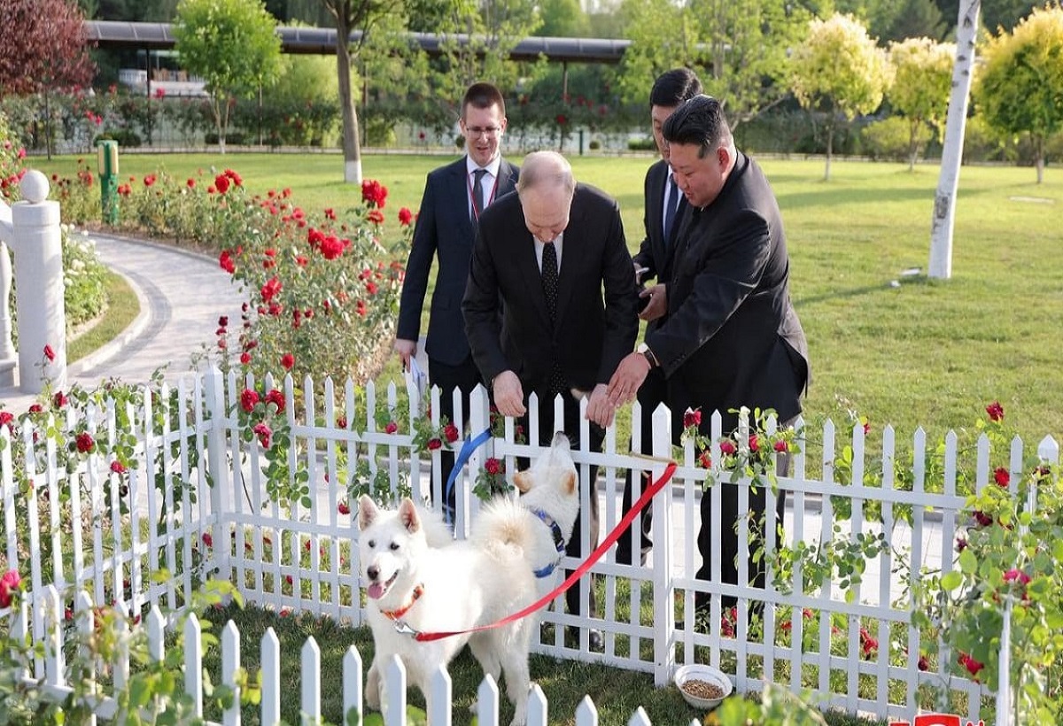 Kim Jong Un Hadiahkan Dua Anjing Langka untuk Vladimir Putin di Taman Geumsusan