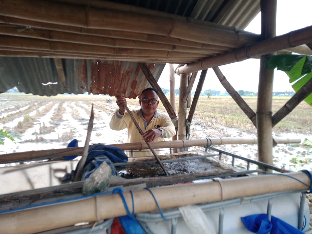 Petik Manfaat Pupuk Organik