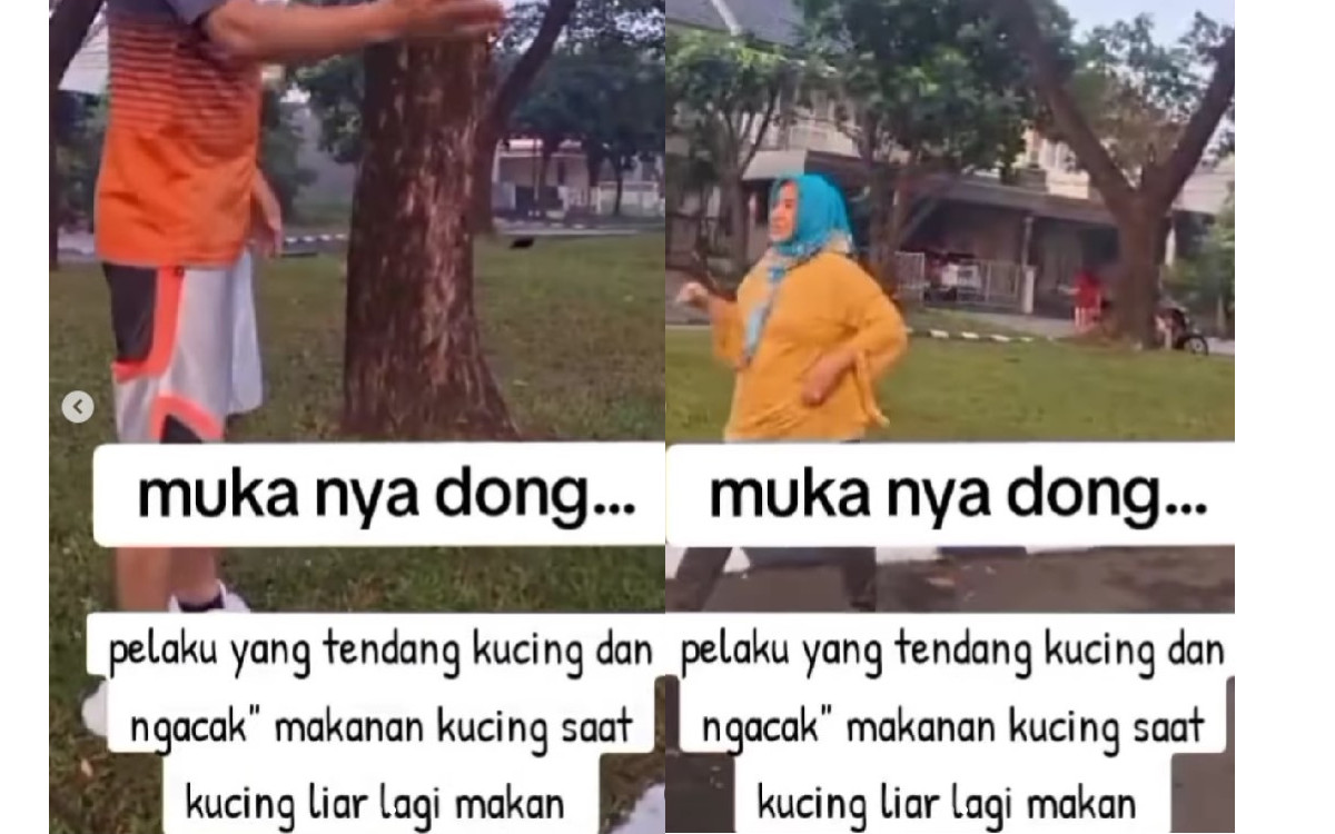 Viral Pria Rusak Momen Kucing Diberi Makan Sepasang Suami-Istri, Cat Lovers Ngamuk: Diinjak sampai Diacak-acak