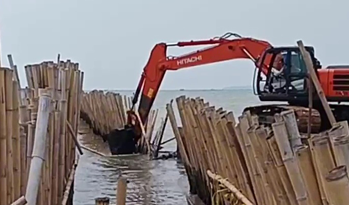 Sulitnya Bambu Pagar Laut Tangerang Dicabut Gunakan Tenaga Manusia, Nelayan Ungkap Jenis Bambu 