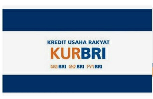 Panduan Pengajuan KUR di Bank BRI agar Pinjaman Cair dengan Lancar