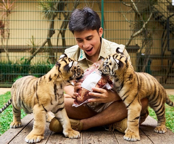 Alshad Ahmad ’’Bunuh’’ 7 Anak Harimau Hasil Breeding, Dihujat Netizen 