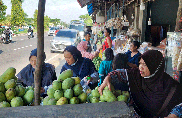 Mangga Dermayu Laris Manis Diburu Pemudik